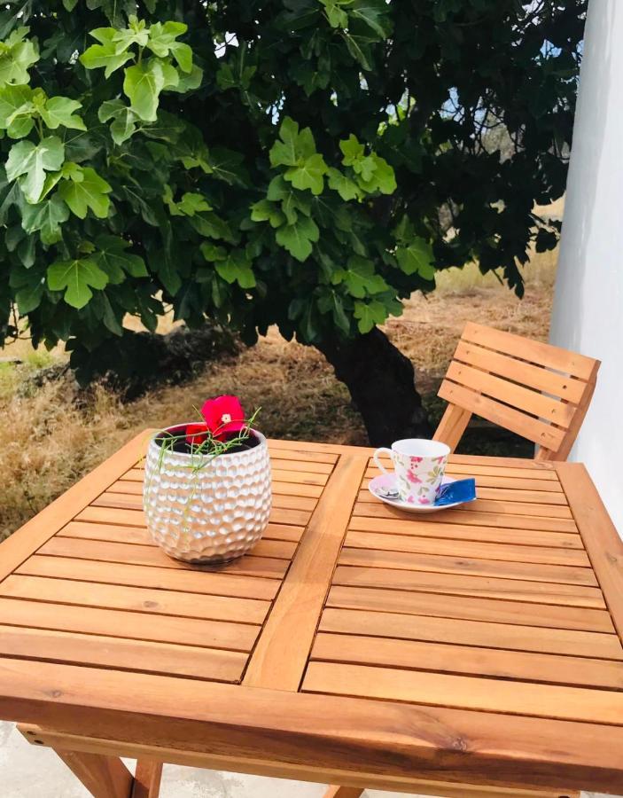 Casa 1-Quinta Dos Penedos Lägenhet Portalegre Exteriör bild