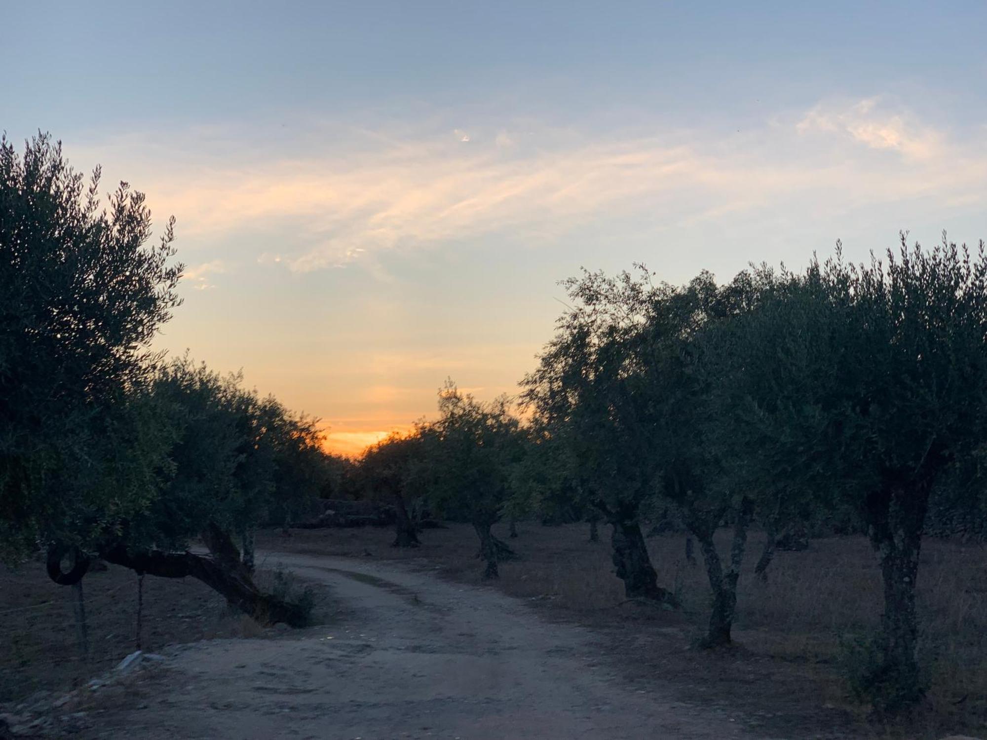 Casa 1-Quinta Dos Penedos Lägenhet Portalegre Exteriör bild