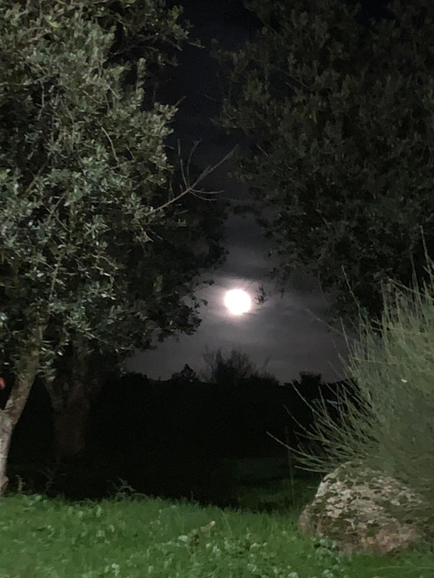 Casa 1-Quinta Dos Penedos Lägenhet Portalegre Exteriör bild